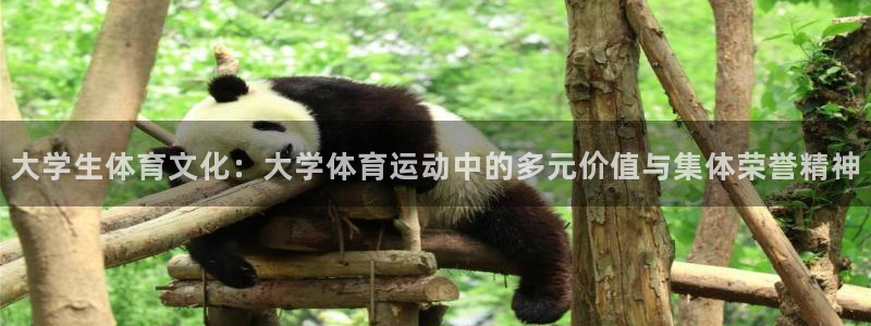 3377体育官网下载招商电话:大学生体育文化:大学体育运动中