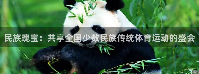 3377体育官方正版app娱乐:民族瑰宝:共享全国少数民族传